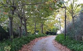 Quinta Da Touca